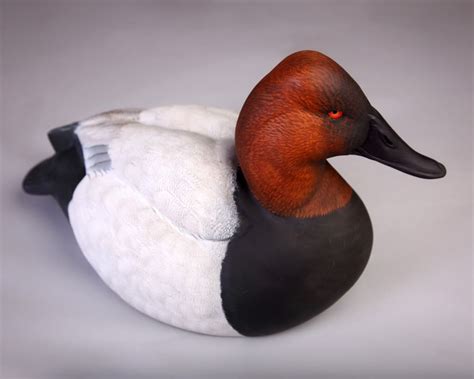 Canvasback Drake by Patrick Eubanks | decoys | Pinterest | Duck decoys ...