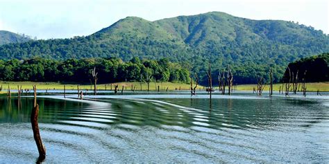 Periyar Lake Thekkady (Timings, History, Entry Fee, Images ...