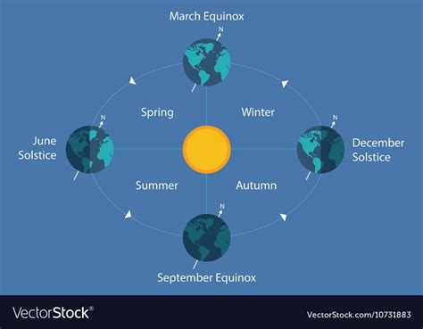 Autumnal equinox solstice diagram eart sun day vector image on ...