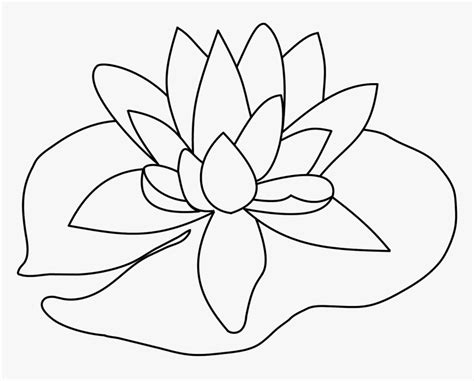 how to draw a lily pad flower easy - lineartdrawingslove