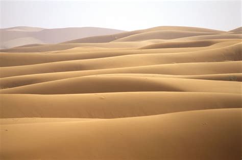 Sahara | Location, History, Map, Countries, Animals, & Facts | Britannica