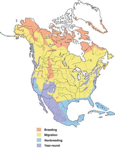 Peregrine Falcon Migration Map - Map Of New Hampshire