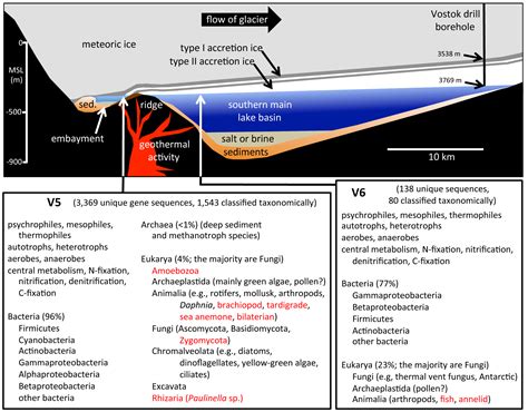 Research Summary: Sequencing Lifeforms in Lake Vostok Ice Cores - Lake ...