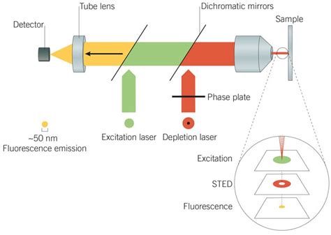 Janelia Fluor® Dyes for Super Resolution Microscopy | Bio-Techne