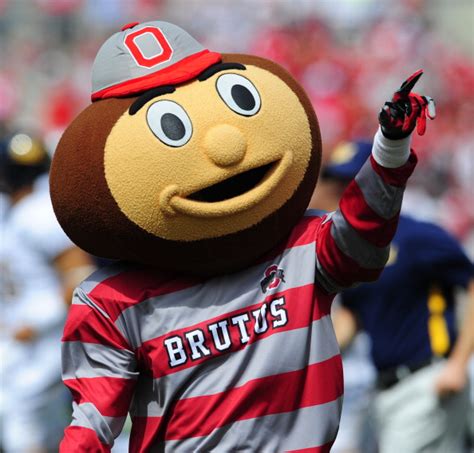 🔥 [50+] Brutus Buckeye Wallpapers | WallpaperSafari