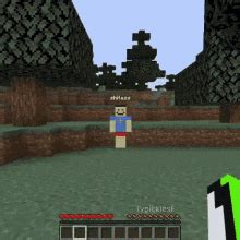 Shitass Speedrun GIF - Shitass Speedrun Minecraft - Discover & Share GIFs