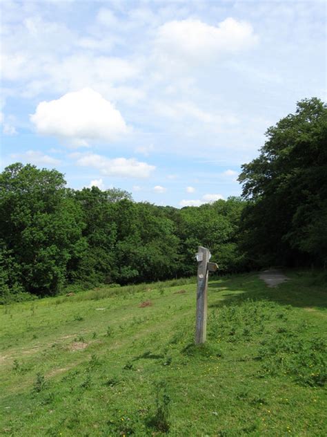 Footpath Junction, Senlac Hill © Simon Carey cc-by-sa/2.0 :: Geograph ...