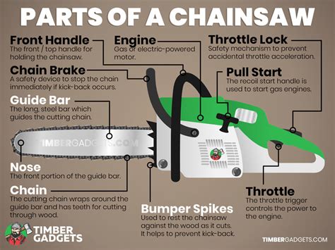 The Main Parts of a Chainsaw - Timber Gadgets