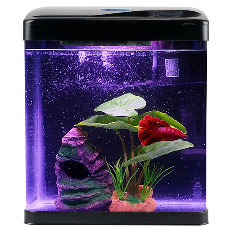 Pretty Betta Fish Tanks