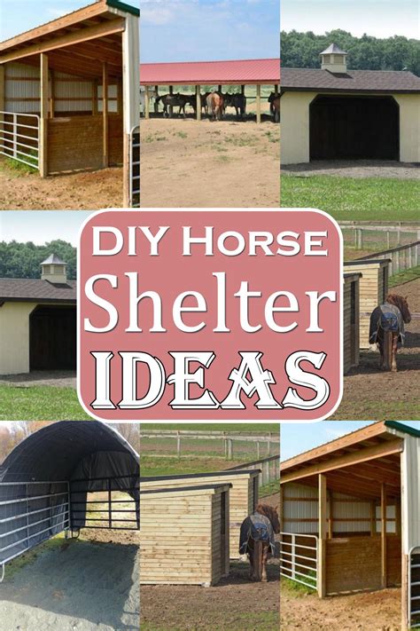 14 DIY Horse Shelter Ideas + Tutorials For Beginners (Easy!)