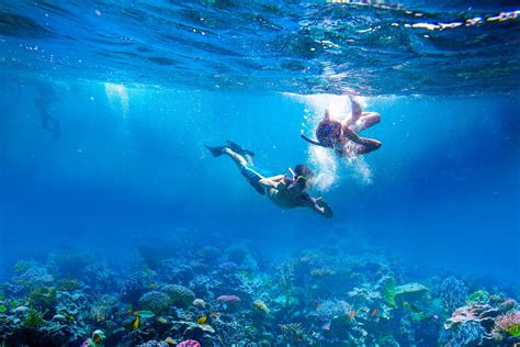 Top 10 Best Places to Snorkel in Turks & Caicos | Beaches