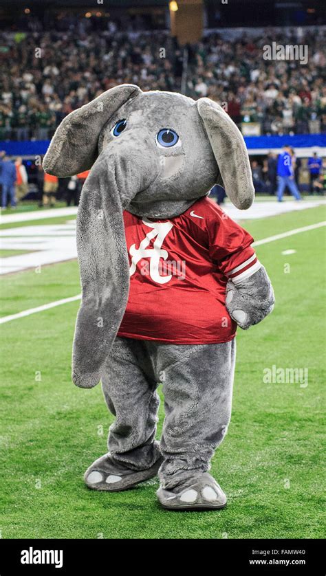 Alabama crimson tide football mascot hi-res stock photography and ...