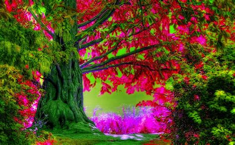 SPRING TREE, forest, tree, hop, spring, HD wallpaper | Peakpx