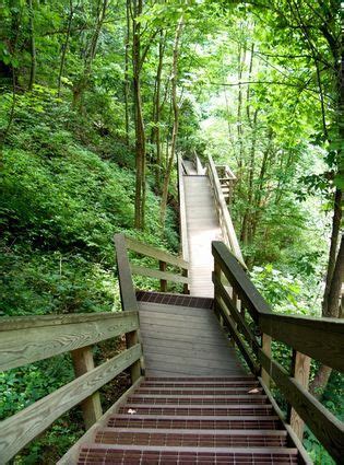 Amicalola Falls State Park - one mile worth of stairs to the top and ...