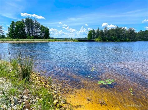 Seney National Wildlife Refuge: 7 Mile Drive-See Swans and Marsh Views