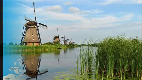 √ Nature Talks Netherlands