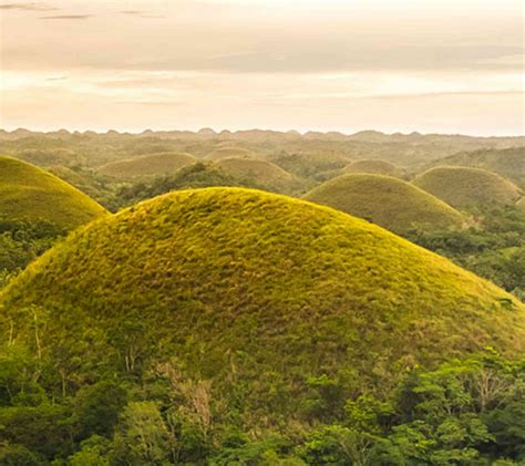 Chocolate Hills Tours | Guide to the Philippines