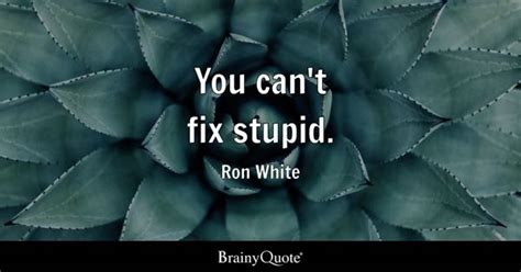 Ron White - You can't fix stupid.