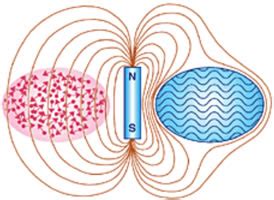 The Meissner Effect - Maharishi Vastu Australia and New Zealand