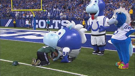 Blue Introduces New Mascot: Colts vs. Jets