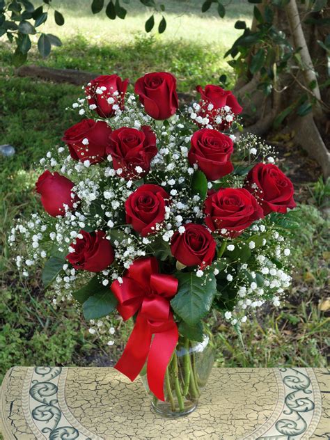 Classic Dozen Roses Bouquet in Venice, FL | Venetian Flowers