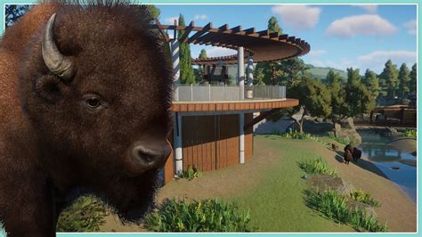 American Bison Habitat River Rock Zoo Planet Zoo Speed, 42% OFF