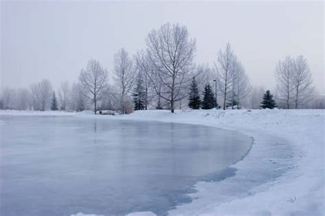 Frozen Pond