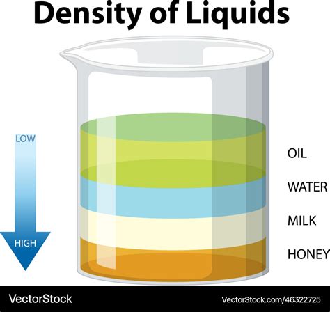 Density of liquids science experiment Royalty Free Vector