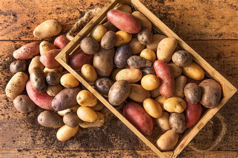 List of Root Vegetables | the Fresh Times