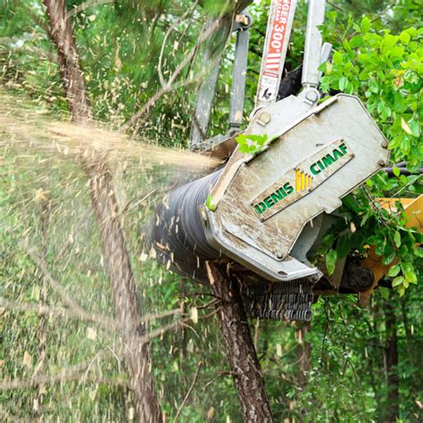 Denis Cimaf Skid Steer Forestry Mulcher Attachment | Skid Steer Solutions