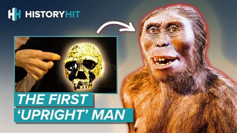 Homo erectus | Why Did the Most Successful Early Human Go Extinct? - Go IT