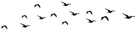 Bird Silhouette Clip art - Flock of flying geese png download - 1024* ...