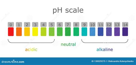 PH Scale. Litmus Paper Color Chart. Vector Illustration | CartoonDealer ...