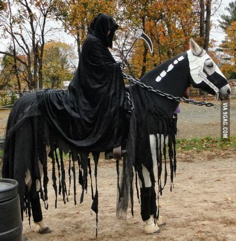 Gf finished my Halloween costume today. Horse Halloween Ideas, Horse ...