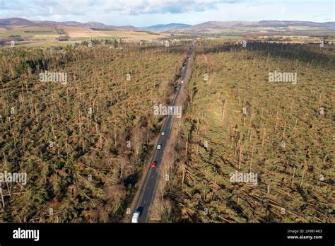 Aerial view from drone of damage to woodland at Edzell from Storm ...