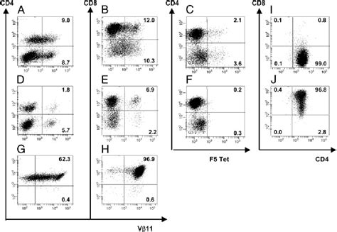 Figure 1 from A critical role of T cell antigen receptor-transduced MHC ...