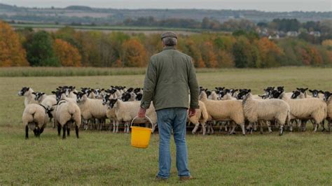 Jeremy Clarkson reveals 'heartache' filming farming TV series - BBC News