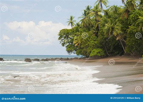 Deserted Beach Drake Bay stock image. Image of solitude - 29124129