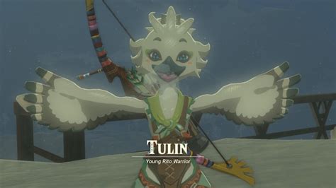 Zelda Tears of the Kingdom: Where’s Tulin? - Video Games on Sports ...