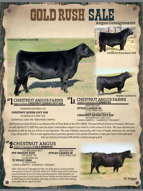 Black Hills Stock Show Angus Sale Consignments | The Pulse