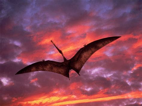 1920x1080px | free download | HD wallpaper: brown pterodactyl ...