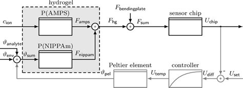 Block diagram of the hydrogel sensor. The hydrogel consists of two ...