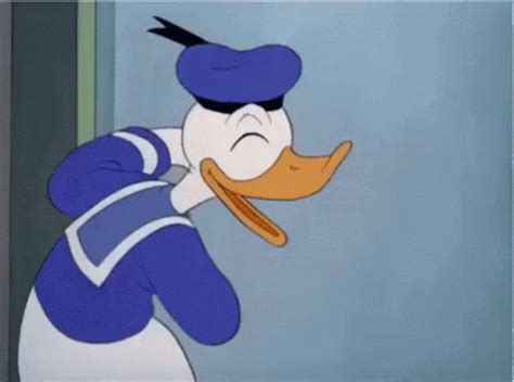 Funny Duck Memes Gif