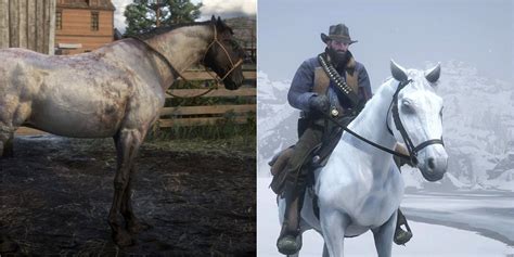 The Best Horse Breeds In RDR2