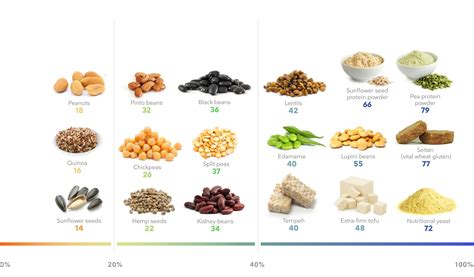 Vegan Protein Sources List