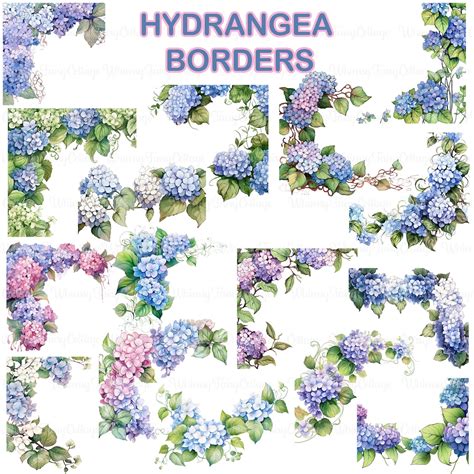 16 Hydrangea Border Clipart, Floral Frames and Borders PNG, Scrapbook ...