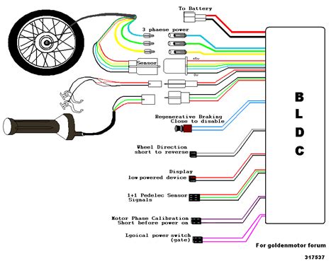 48v Brushless Motor Controller Wiring Diagram - Wiring23