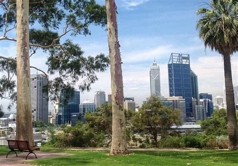 Perth's best parks and gardens to explore | Perth Underground