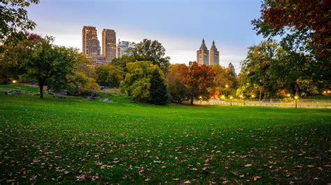 Photos New York City USA Central Park Nature Parks Grass 1920x1080