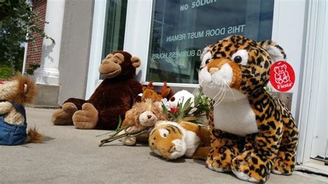 Memorial for Cecil the lion spotted outside Minnesota dentist’s office ...